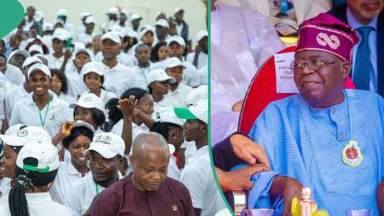 Tinubu's govt launched portal to register for job creation programme? Fact emerges