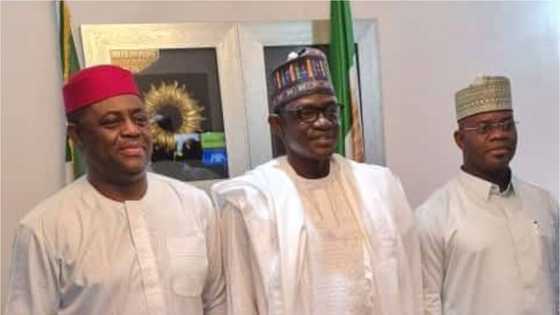 Fani-Kayode reacts to criticisms trailing his meeting with APC leaders