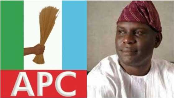 Political game favours ex-governor's son as he emerges APC candidate in rerun primary in top southern state