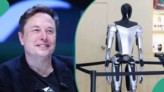 High praises as Elon Musk showcases Tesla’s humanoid robot Optimus, video demo ‘the best