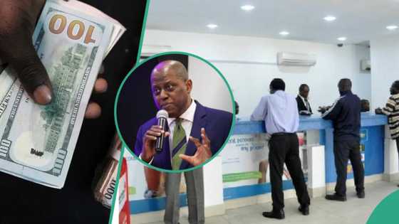 Report: CBN identifies how banks, traders play roles in naira’s fall to N1,200/$, reveals next move