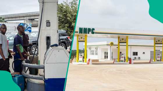 NNPC filling station crash petrol price below N900/litre after Dangote partners reduce cost