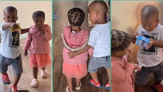 "He is so sweet": Man in awe as little brother gives girl a treat at home, video melts hearts