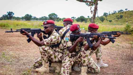 "Suspected armed herdsmen seriously mobilising members," group raises alarm