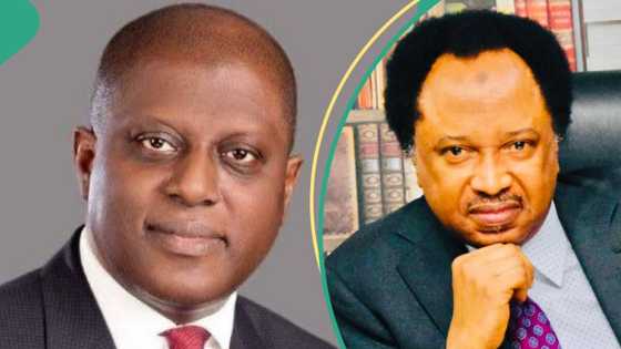 "Rescue naira", Shehu Sani lists what Nigerians expect from new CBN governor Olayemi Cardoso