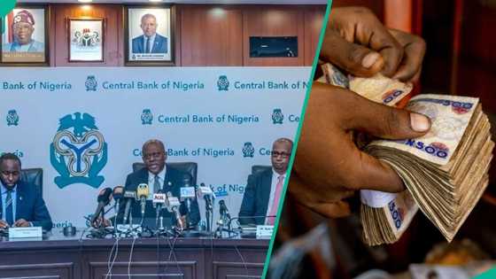 CBN releases Access, UBA, GTB, Zenith, other banks' interest rates on loans in 2026