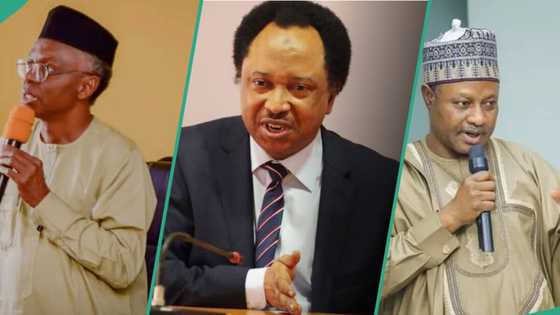 "I was vilified": Shehu Sani drops fresh challenge for Uba Sani over El-Rufai's stewardship