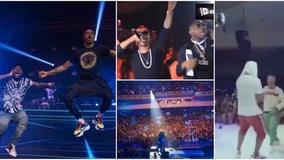 Starboy concert, 30BG tour, 2 other heartwarming videos of times Davido and Wizkid performed together
