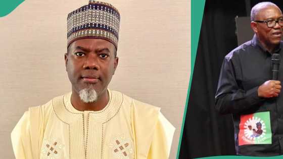 Lagos demolition: Reno Omokri accuses Peter Obi of selective outrage
