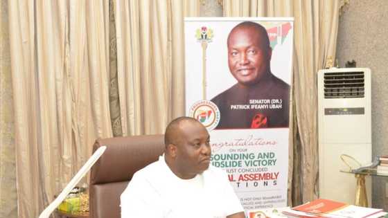 Nnamdi Kanu: Release of IPOB leader will end insecurity in southeast, says Ubah