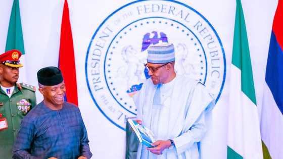 Buhari: Abin da Ya Sa Na Ki Fitowa Karara In Goyi Bayan Magajina a Zaben Gwanin APC