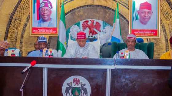 Gwamnati Za Ta Ruguza Gine-Gine, Ta Tsallake Wuraren da Kwankwaso Ya Saida a Kano