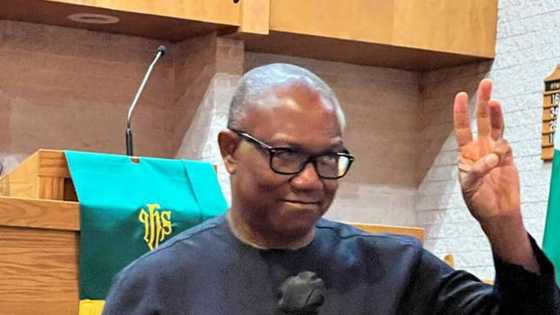 Peter Obi Ya Bayyana Abinda Zai wa 'Yan Najeriya 100m a Fannin Lafiya Idan Ya ci Zabe