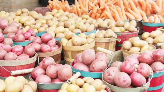 Abinda yasa ƴan Najeriya ke kwana da yunwa duk da noman abinci da ake yi, Nanono