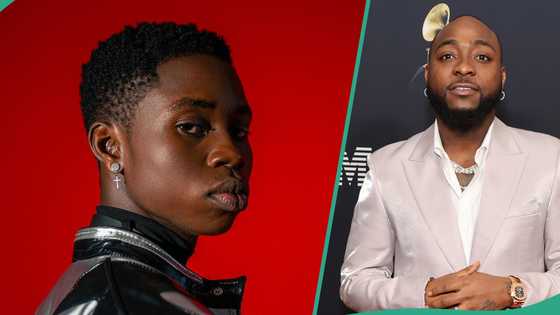 Peller goes wild after Davido promised to do TikTok live with him: "Sha no use head knack floor"