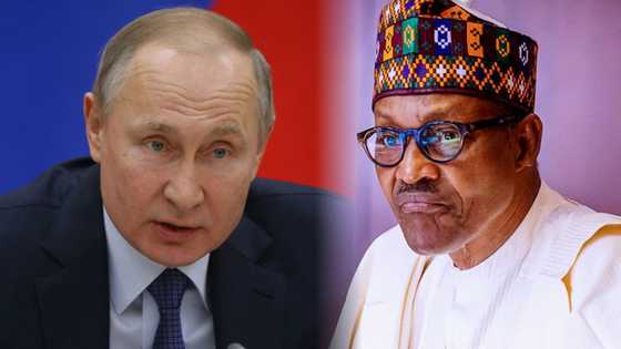 Nigeria’s import from Russia slumps amid war With Ukraine