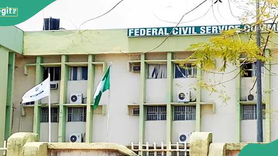How to apply for Federal Civil Service Commission recruitment exercise