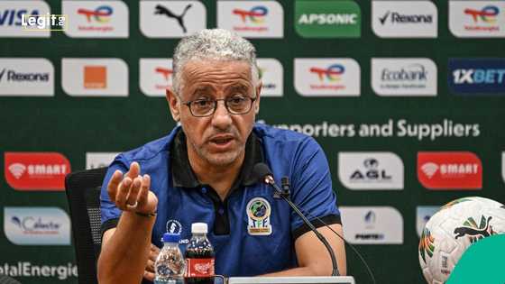 “Na wetin Zimbabwe coach talk”: Fans react as Amrouche says Nigeria is his favourite destination in Africa