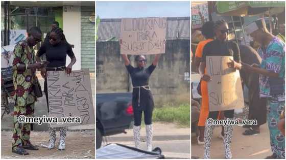 "Looking for sugar daddy": Pretty lady stands on the road, people collect her number in video