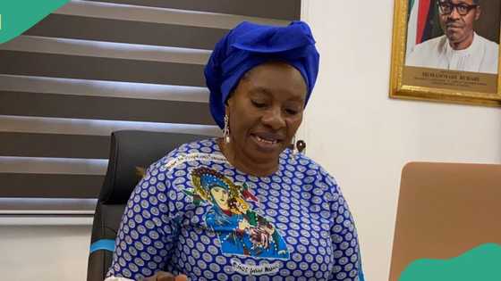 Court stops Buhari's minister from holding public office in Nigeria, details emerge