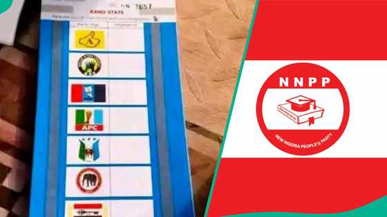 NNPP da manyan jam'iyyu 2 da ba a ga tambarinsu a takardar zaben cike gurbin Kano ba