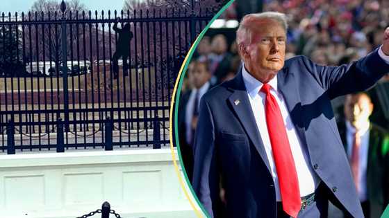 "Trump's home": Video trends as man attempts to scale White House fence