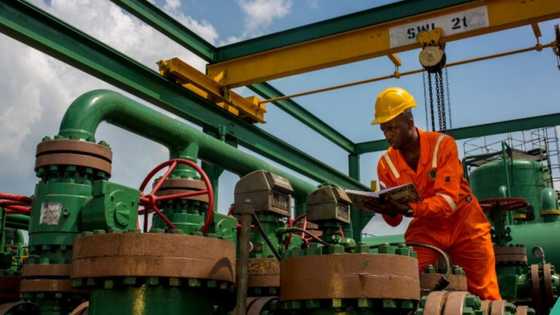 New set of billionaires to join Dangote, others as FG announces 12 oil blocks up for grabs