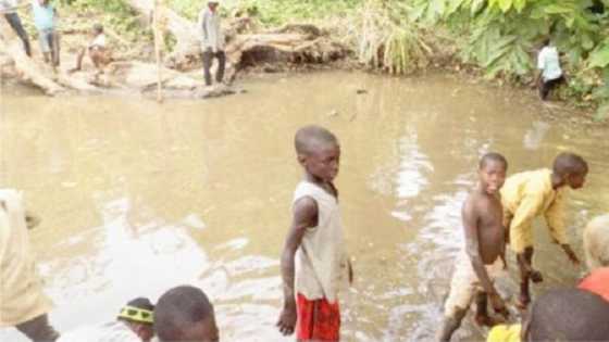 Gwakuru: Tafki mai abin al'ajabi da ke cike da kifayen da mutane basa iya ci a Kaduna