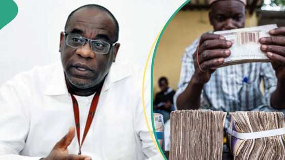 N925/$: CBN sends strong message to BDC operators over guideline violations, naira crash