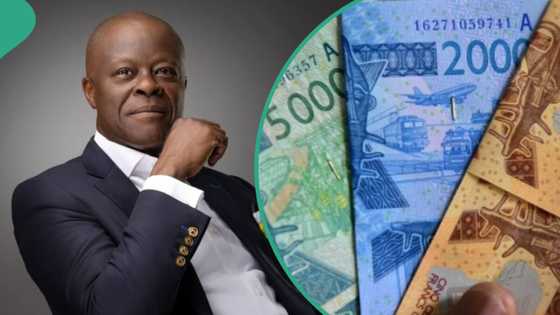 Nigeria considers possibility of ECOWAS single currency as naira dips