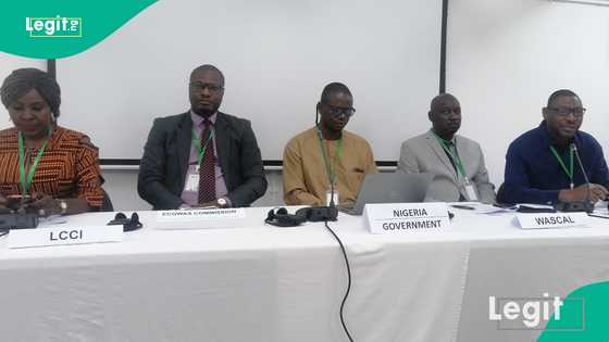 Renewable energy: Nigeria pledges commitment as ECOWAS sets target on green hydrogen