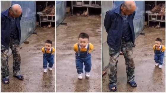 Video captures funny moment kid walks like grandpa, bends down & folds hands