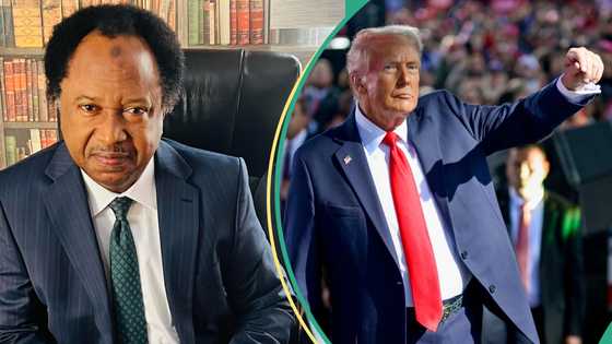 Trump’s mass deportation: Shehu Sani sends message to Nigerians hiding in US