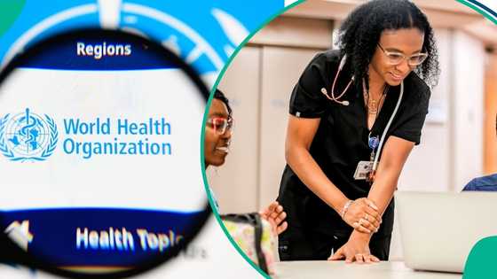 WHO opens applications for 2026 paid internship, invites Nigerians to apply for monthly stipend