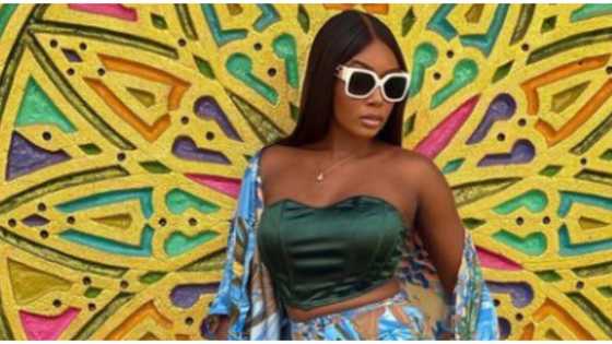 Owo shooting: BBNaija's Tbaj thrashed for promoting vlog amid Black Sunday disaster, refuses to delete tweet