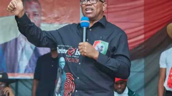 Majalisa Ta 10: Peter Obi Ya Bayyana Zabinsa a Kujerar Shugabancin Majalisa