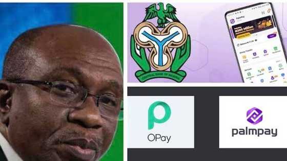 CBN Na Shirin Dakatar da Ayyukan Bankuna 2 a Najeriya Kan Abu 1? Gaskiya Ta Bayyana