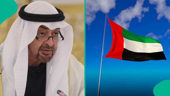 UAE publishes 5 categories of people banned from entering the country: "The blacklist"