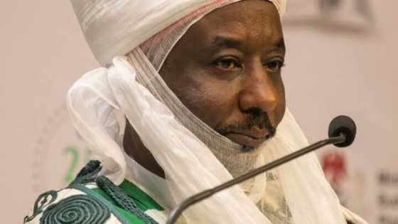 2023: Ku samu katikan zaben domin zaben shugabanni nagari, Sanusi
