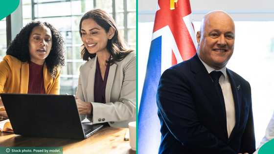 New Zealand announces 3 ways foreigners can find a job in the country