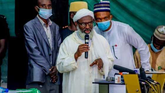 How I helped secure release of 37 abducted Kaduna forestry students - Sheikh Gumi reveals
