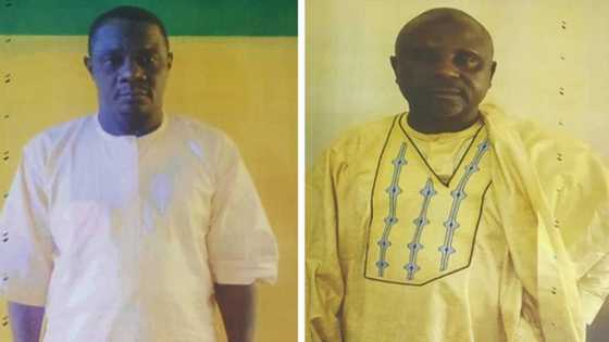 Da Dumi-Dumi: DSS Ta Kama Yan NNPP 2 Da Ke Shirin Tada Zaune Tsaye Yayin Zaben Gwamna a Kano