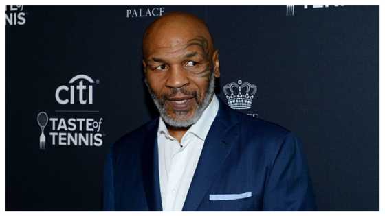 Excitement as boxing legend returns to training ahead of crunch fight