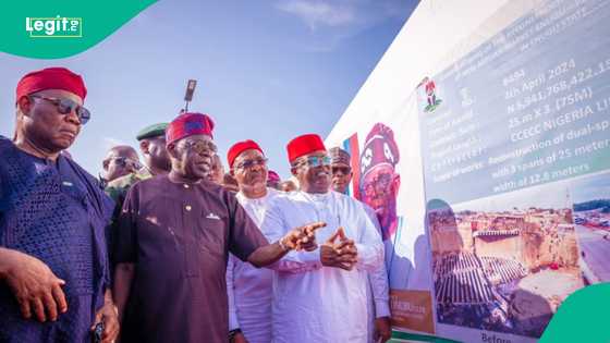 Tinubu urged to intervene in WINHOMES coastal road dispute