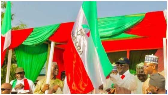 PDP floors APC, wins 21 chairmanship seats in Adamawa LGA elections