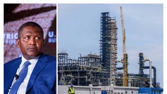 Dangote reveals the number of Indians, Chinese working at refinery complex