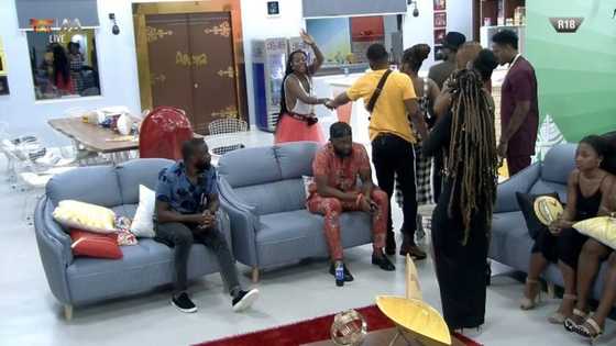 Top news about Big Brother Naija 2019