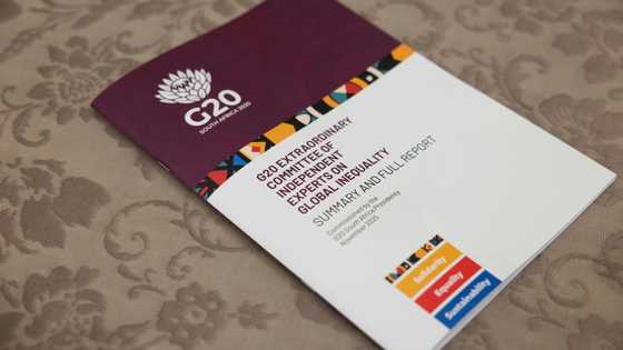 Over 500 economists, top experts call for G20 inequality panel