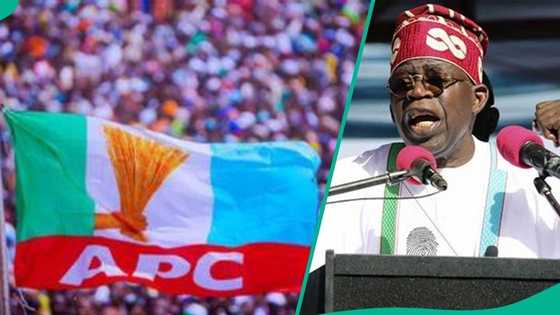 2027 election: Presidency speaks on when Tinubu will finally choose running mate