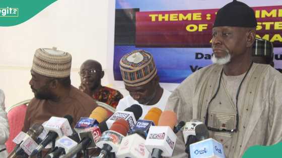 Food security: Tinubu’s minister hailed for agricultural sector reform